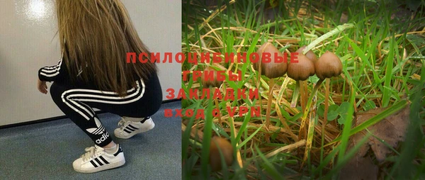 дистиллят марихуана Каменск-Шахтинский