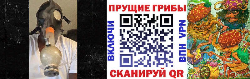 Галлюциногенные грибы Psilocybine cubensis  купить   Альметьевск 