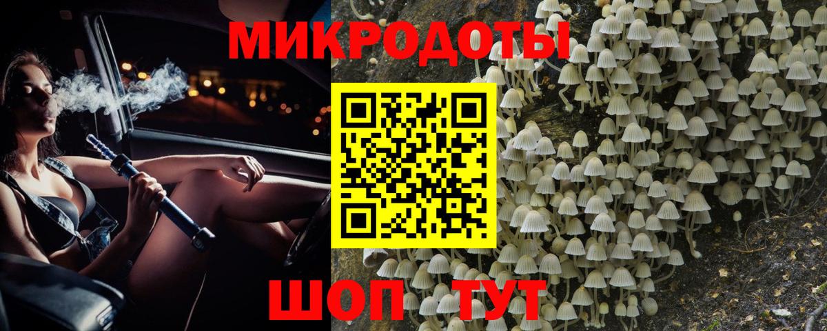 купить закладку  Псилоцибиновые грибы MAGIC MUSHROOMS  Галлюциногенные грибы Psilocybine cubensis  Вход с VPN  Альметьевск 