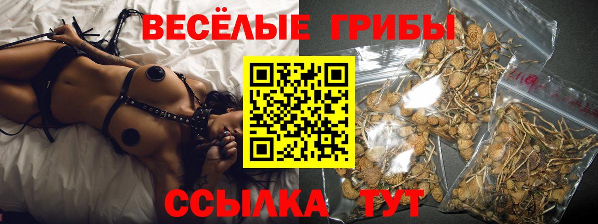 Галлюциногенные грибы MAGIC MUSHROOMS  Альметьевск 